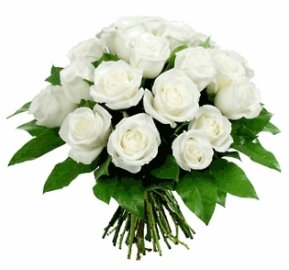 25 White Roses Bouquet