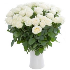 Just White Roses